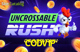 CODVIP,COD.VIP